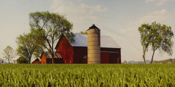 Example Photo Background of Farm